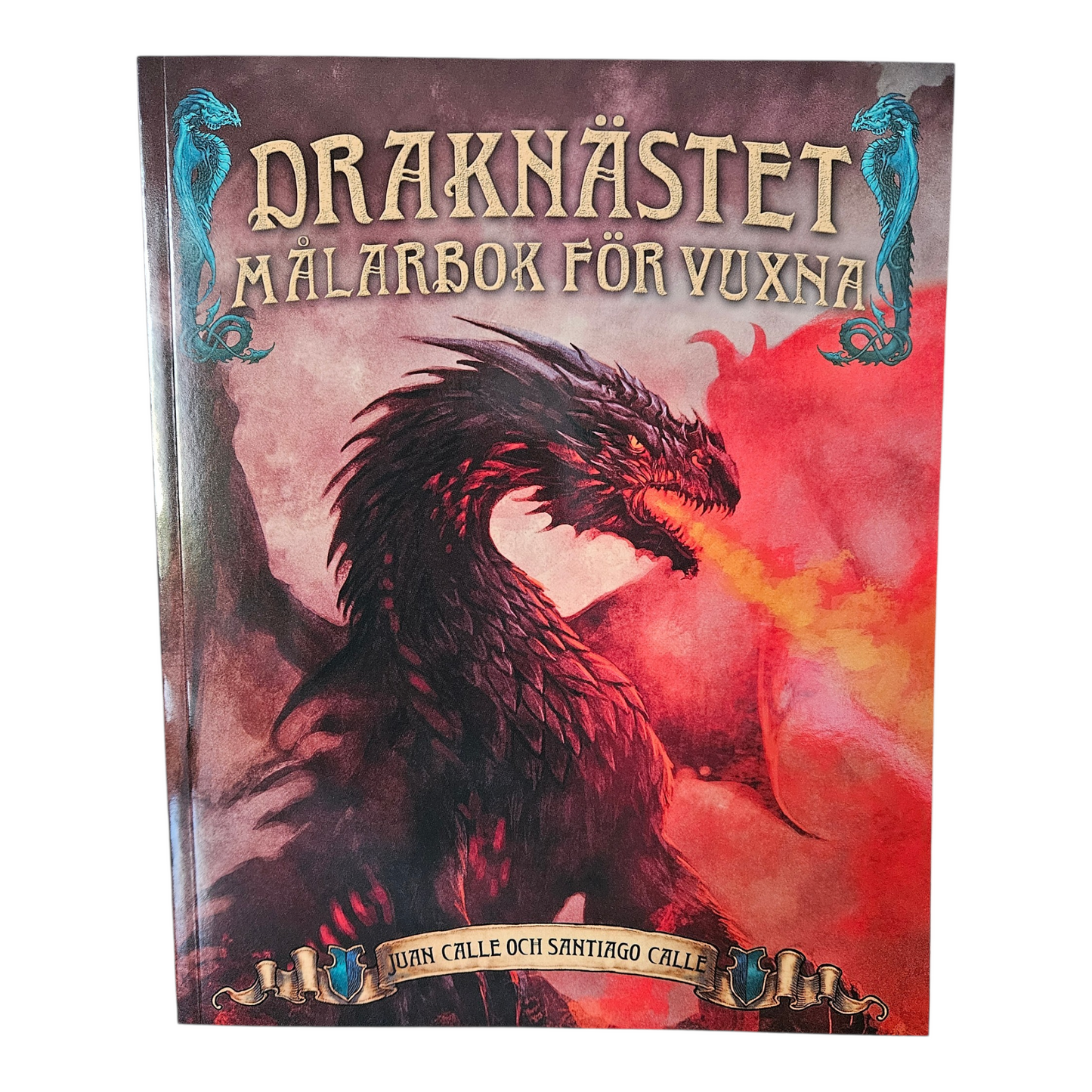 Målarbok för vuxna - Draknästet